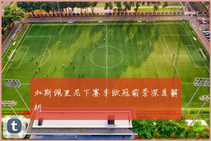 加斯佩里尼下赛季欧冠前景深度解析